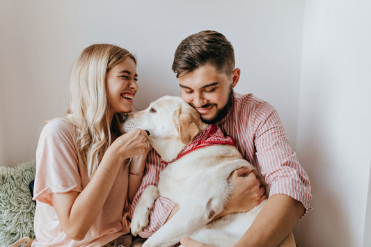Make your pet happy with these accessories!