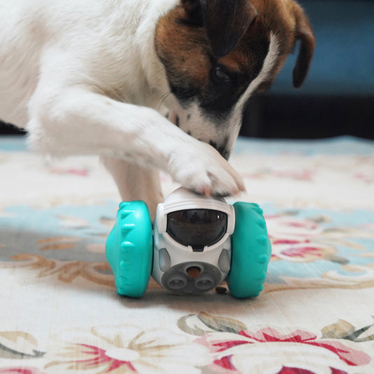 Food Puzzle Toy
