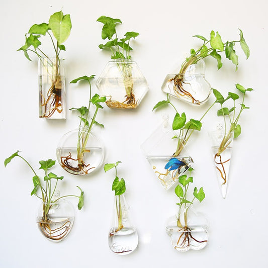 Wall Hanging Vase